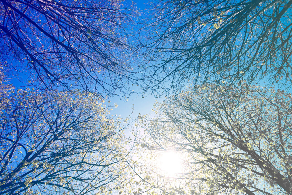迎接秋季-打造舒適內在美-女性內衣選擇關鍵指南