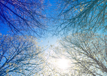 迎接秋季-打造舒適內在美-女性內衣選擇關鍵指南