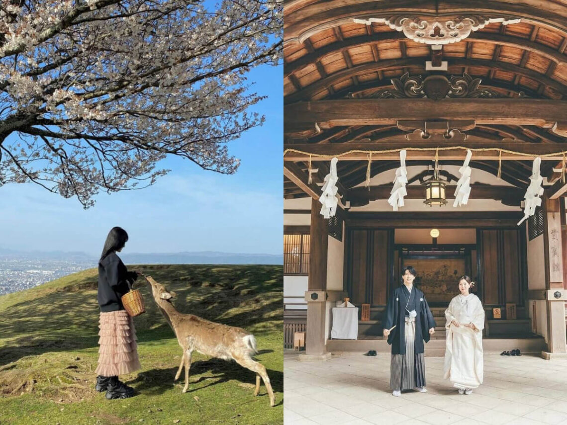 日本景點|奈良旅遊全攻略、千年古都必訪行程可不只有餵鹿