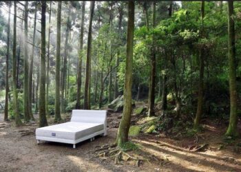 手工床墊第一品牌！新北土城床墊專家阿萬師量身打造親膚透氣床墊