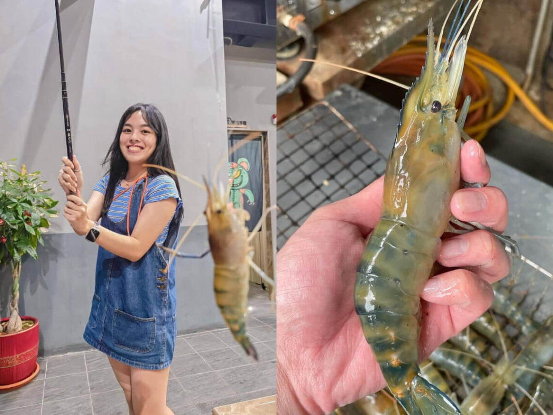 新北景點|嚴選7間高評價釣蝦場-新手也能快速入坑