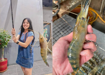 新北景點｜嚴選7間高評價釣蝦場-新手也能快速入坑