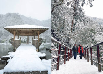 全台景點｜盤點台灣賞雪勝地-一起等待初雪降臨走進夢幻冰雪世界