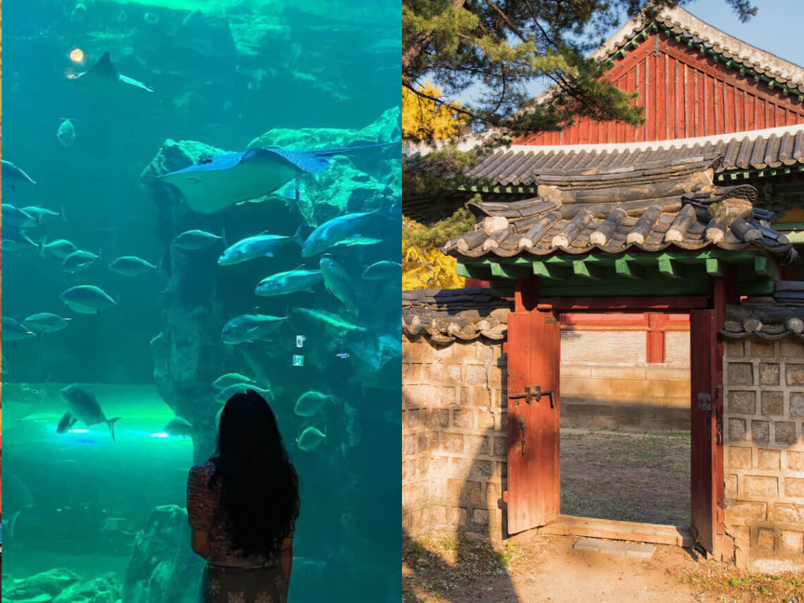 韓國景點｜跟著韓劇男女主角踩點去-盤點六個熱門打卡區