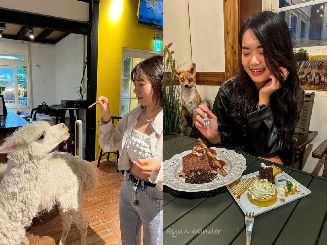 台北美食|台北近郊秘境陽明山美國村-6-家質感餐廳-享受復古風情與美味料理