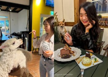 台北美食｜台北近郊秘境陽明山美國村-6-家質感餐廳-享受復古風情與美味料理