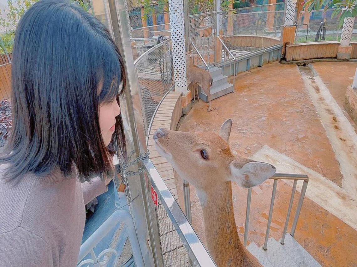 彰化親子農場｜帶著孩子出門放電-餵食小動物玩水玩沙-記錄孩子成長