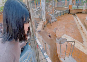 彰化親子農場｜帶著孩子出門放電-餵食小動物玩水玩沙-記錄孩子成長
