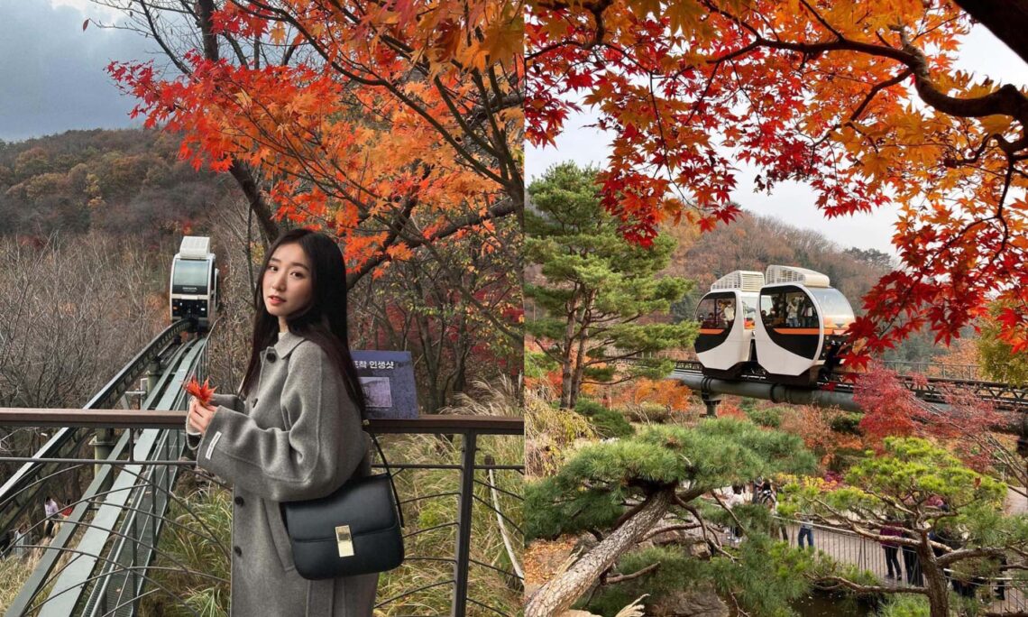 韓國景點|和談林一日遊!韓國最佳賞紅楓地點-搭單軌列車穿梭山野