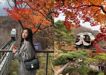 韓國景點｜和談林一日遊！韓國最佳賞紅楓地點-搭單軌列車穿梭山野