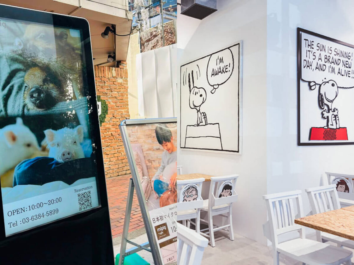 2025人氣日本咖啡廳|直擊東京最新開幕的bontemp、honolulu、史努比、pap-coffee等7大打卡點