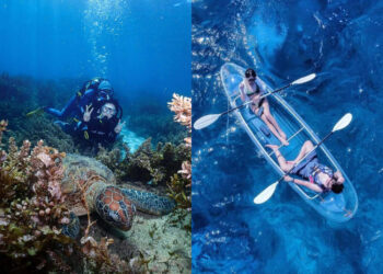 屏東景點｜透明獨木舟、與海龜共遊-小琉球水上活動推薦top-6