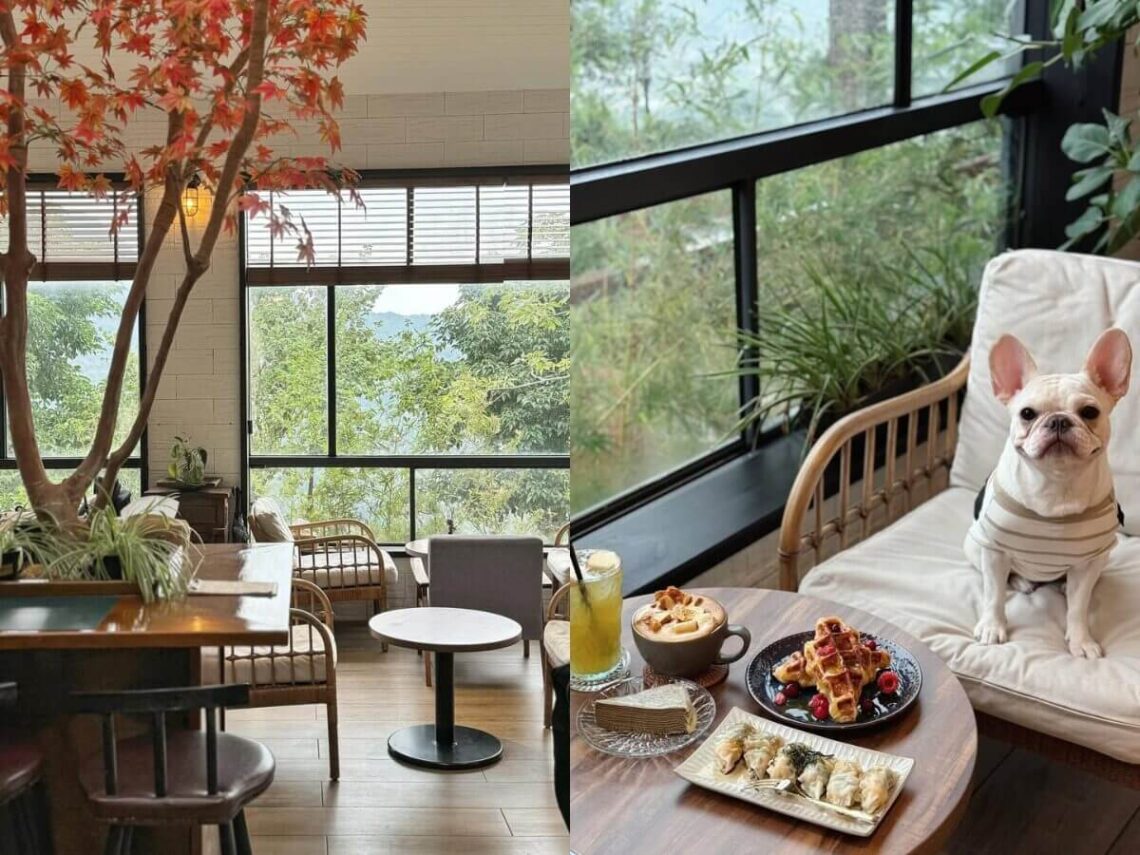 新北景點|金山一日遊-神秘海岸、舊金山總督溫泉、猿咖啡等6大必遊必吃景點