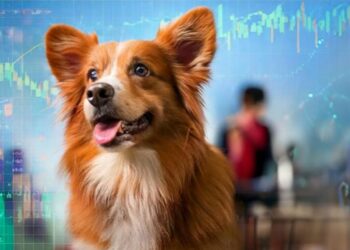 台灣兆元產業「毛」經濟-新莊寵物店分析寵物特許行業規定與市場走向