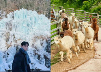 韓國一日遊行程推薦｜韓國自由行熱門景點-必看兩大表演一次收錄