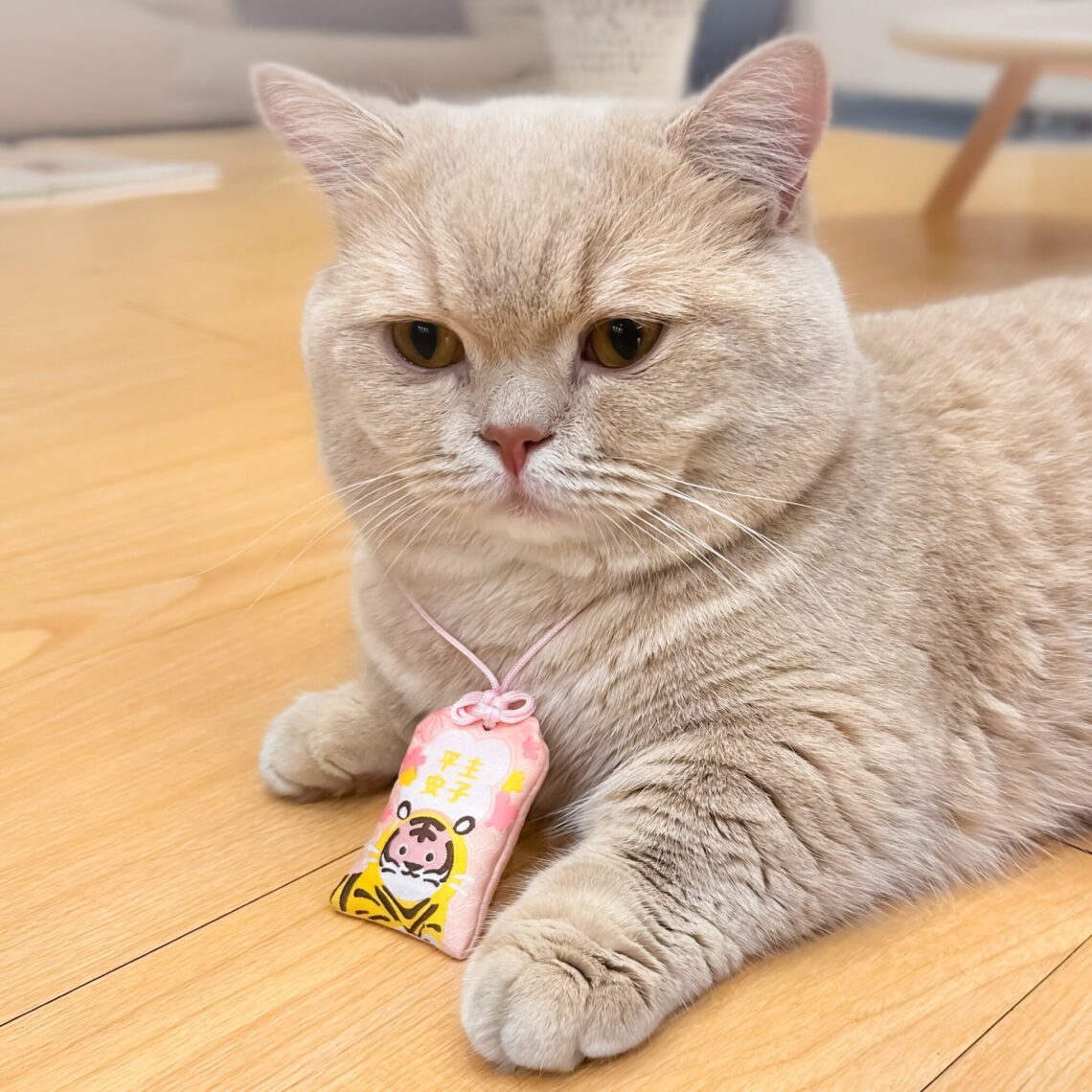 南港寵物展亮點搶先看-基因篩檢、清潔神器、萌系穿搭一次滿足