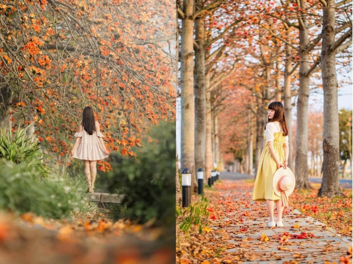 全台-6-大浪漫木棉花景點推薦｜春天情侶約會必去-林初埤木棉花道、東螺溪木棉花道