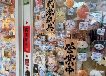 潮玩IP強勢來襲 彰化玩具專賣店網羅吉伊卡哇與設計師原創IP公仔娃娃