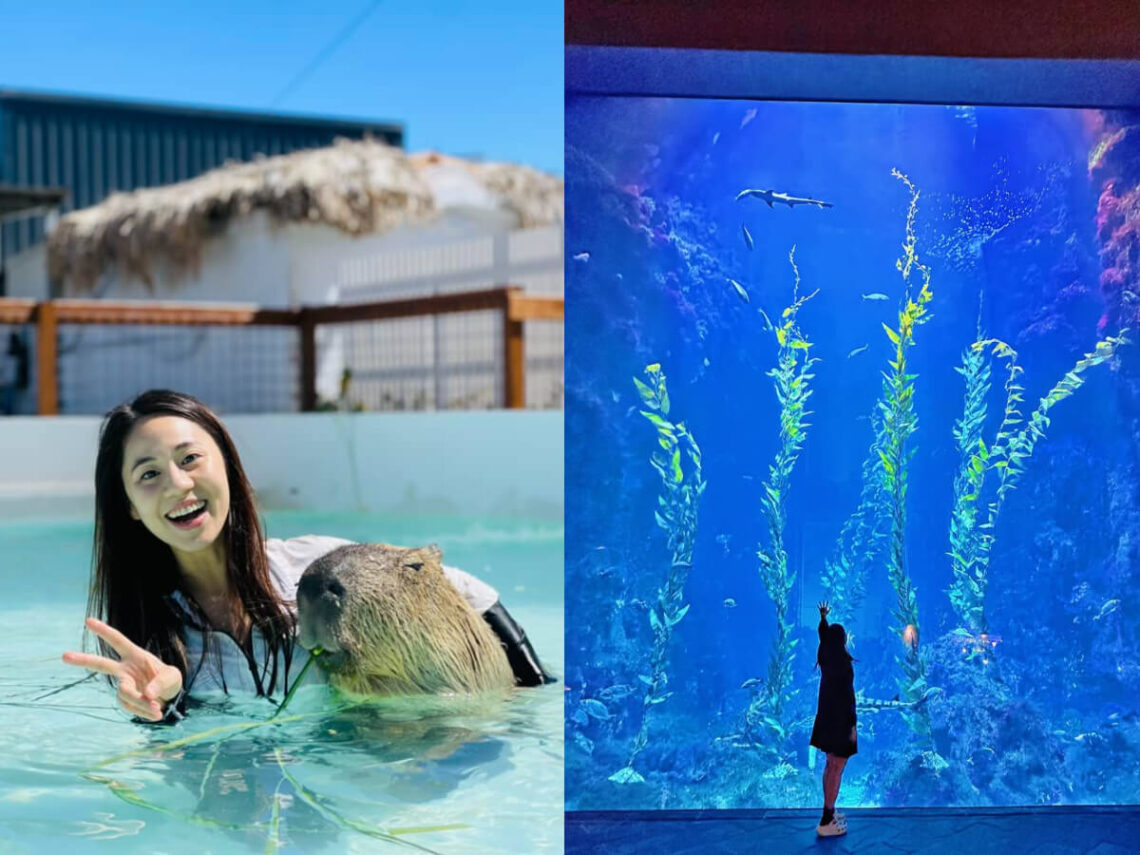 墾丁景點｜陽光燦爛國境之南景點 Top 6 必去台版最美小奈良、鹿ㄦ島與水豚君夢幻同游