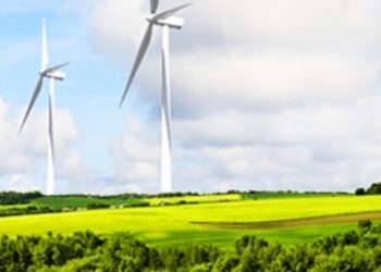 信立5月業績強勢改寫近20年來單月新高 年增385.59％