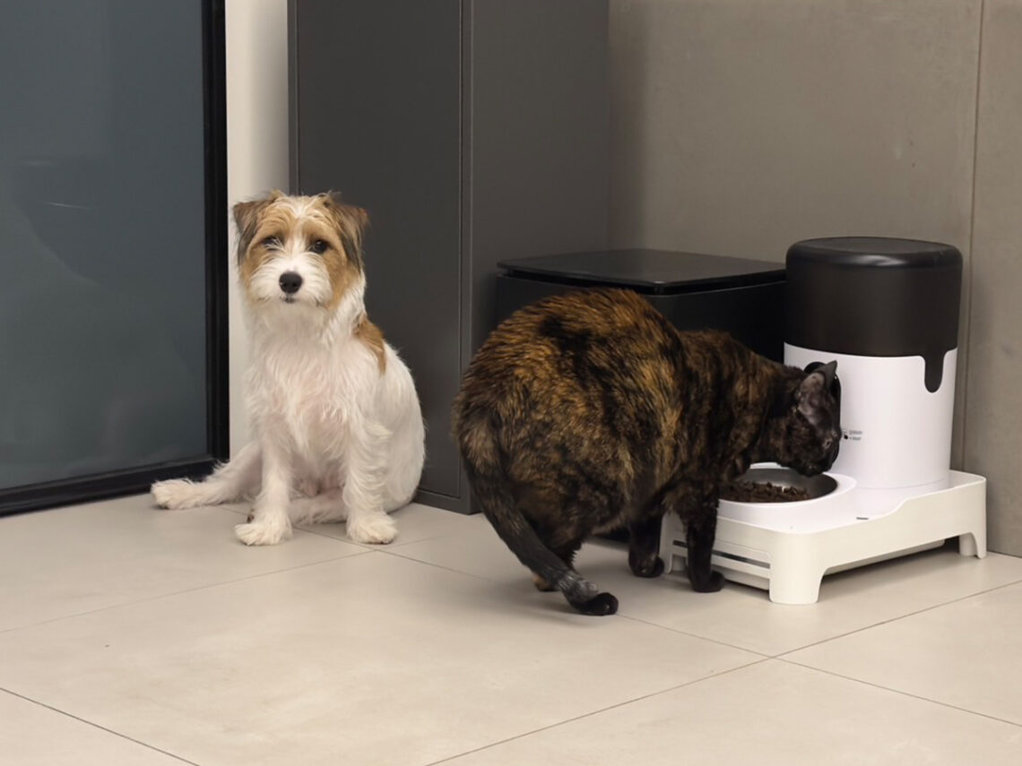 寵物自動餵食器推薦 遠端餵食、視訊監控與語音互動一次搞定