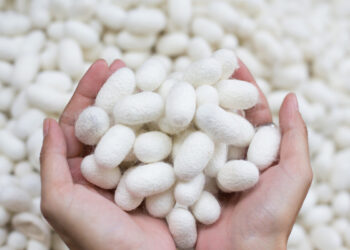 SiOHER熹歐禾進軍台灣八週年獻禮 極輕感蠶絲內衣上市 由內而外貼身呵護