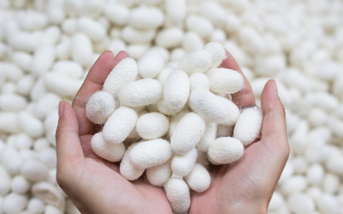 SiOHER熹歐禾八週年獻禮 極輕感蠶絲內衣上市 由內而外貼身呵護