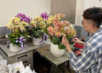 高雄蘭花店精選 專業花藝設計 典雅點綴每一個重要時刻