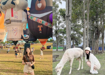 台東景點｜原來鹿野還可以這樣玩！台版小奈良、特產紅烏龍讓你愛上不一樣鹿野