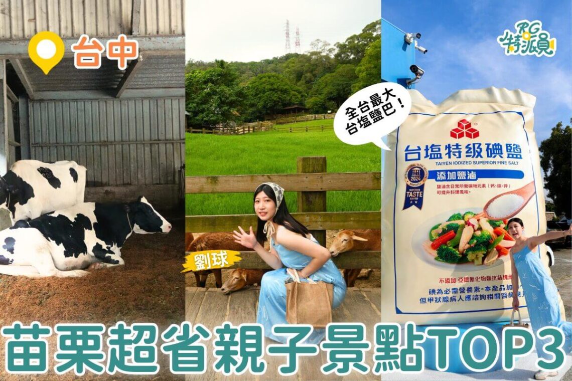 苗栗親子一日遊|飛牛牧場+台鹽園區+白沙屯小吃 一人不到500元