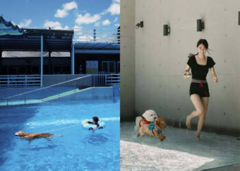 全台寵物友善景點｜盤點全台6家高評價寵物泳池 與毛小孩一起超Chill避暑