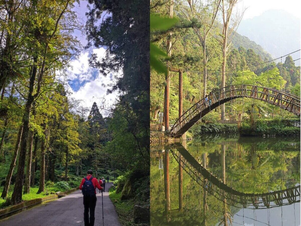 南投景點｜溪頭森林遊樂區全攻略 交通、門票、周遭景點一次告訴你