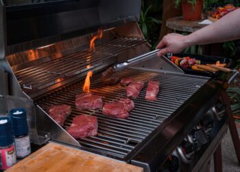 「威廉麗莎」精品烤爐登場台北戶外用品展