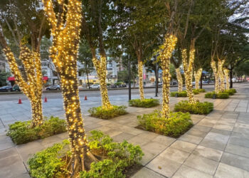 點亮聖誕光影季 用專業打造最溫暖節慶氛圍