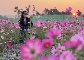 探索田尾「花鄉」美景！入住彰化民宿「好日子」體驗最在地的旅程