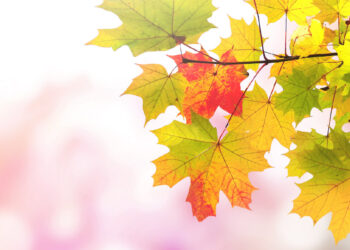 SiOHER熹歐禾衣著療癒學 用顏色與溫度 找回秋日心平衡