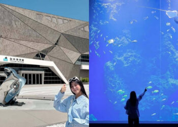 台中親子景點｜開箱台中新地標 台中海洋館門票、交通、必看展區懶人包