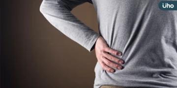 腎病無聲奪健康 醫揭「保腎11字訣」