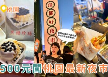 桃園美食｜500元挑戰桃園最新夜市 璟都好夜市美食全制霸 麻油雞、炭烤雞排、舒芙蕾一次吃遍