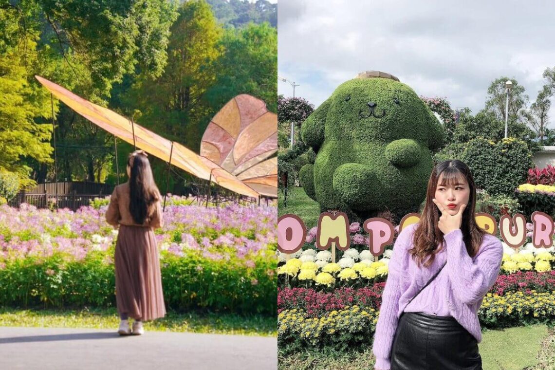 台北一日遊|士林賞菊一日遊攻略 從早午餐、賞花到夜市美食完美行程