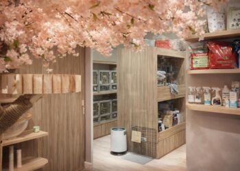 台中北區特色茶飲店 結合龍貓療癒與親子友善溫柔外帶選擇