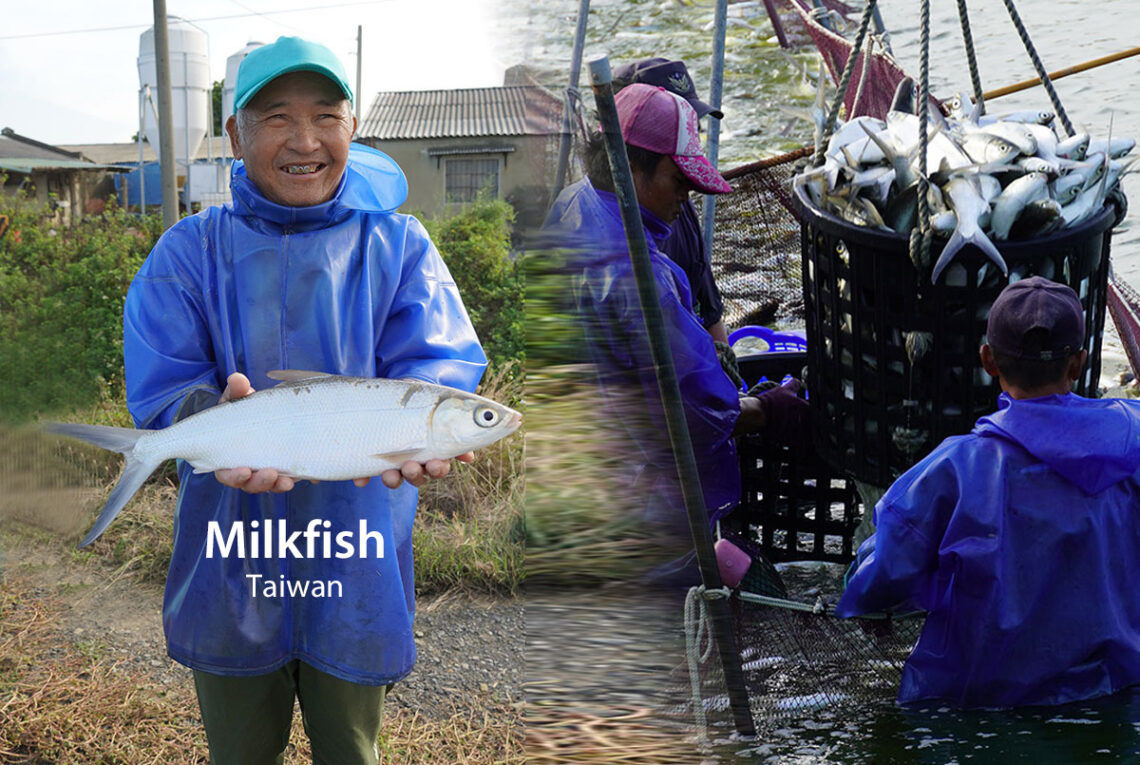 從台南鹽水到國際舞台揭開台灣「魚鱗膠原蛋白胜肽」生技研發之路