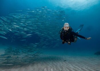 小琉球潛水課程 零經驗也能下潛 打開人生第一次藍色冒險