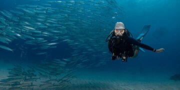 小琉球潛水課程 零經驗也能下潛 打開人生第一次藍色冒險