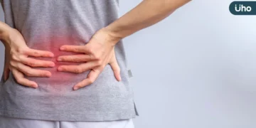 八成國人曾腰痛！中醫師解析成因、體質分類與護腰保健要點