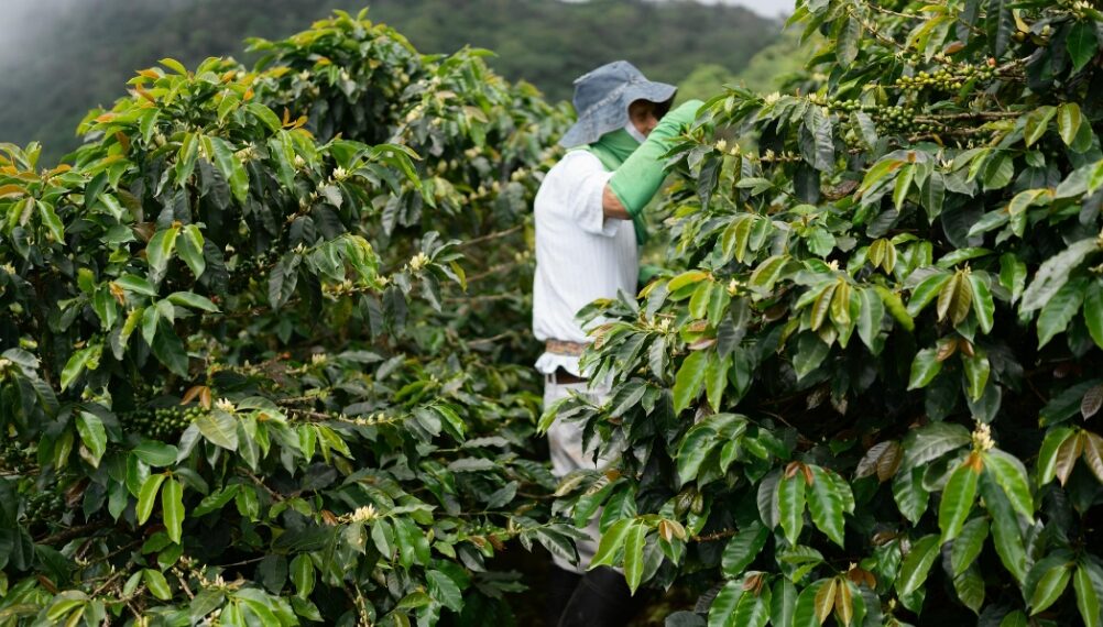 岢欣深耕咖啡產業多年 推出星鏈咖啡機