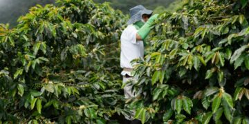 岢欣深耕咖啡產業多年 推出星鏈咖啡機