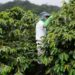岢欣深耕咖啡產業多年 推出星鏈咖啡機
