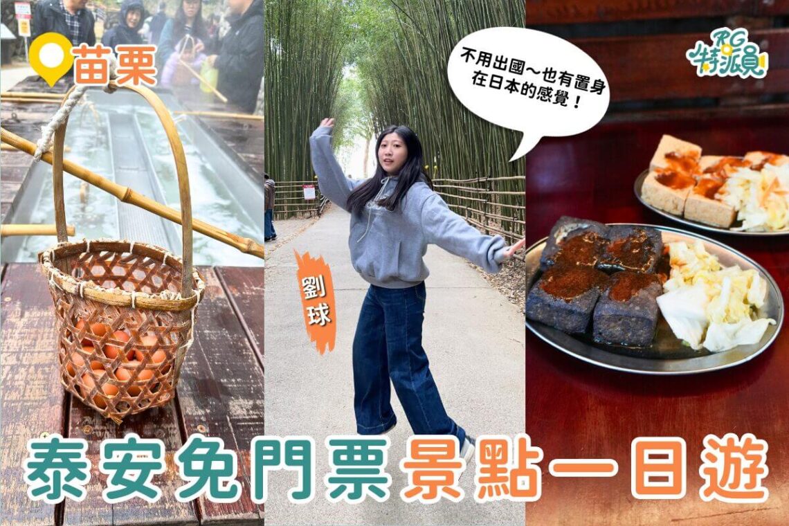 苗栗一日遊|泰安免門票景點這樣玩!溫泉煮蛋、竹林秘境、洗水坑豆腐街一次收