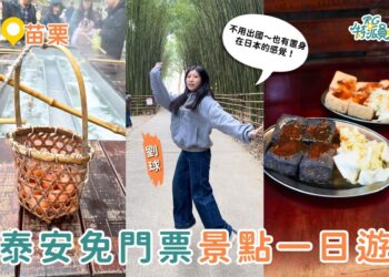 苗栗一日遊｜泰安免門票景點這樣玩！溫泉煮蛋、竹林秘境、洗水坑豆腐街一次收